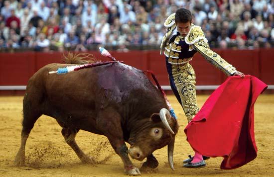 bullfighting.jpg